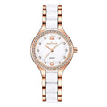 Women Watches Luxury Quartz Female Wrist Watches DazzleTrove