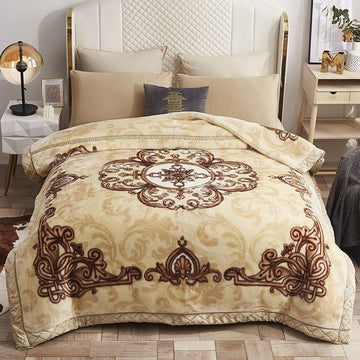 Winter New Laschel Blanket Double-layer Thickening