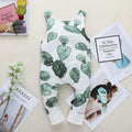 Devon Cactus Romper DazzleTrove