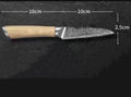 Damascus Kitchen Knife DazzleTrove