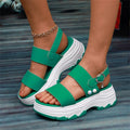 Casual Double-strap Sports Sandals Summer Fashion Solid Color Thick Bottom Buckle Fish Mouth Shoes Women DazzleTrove